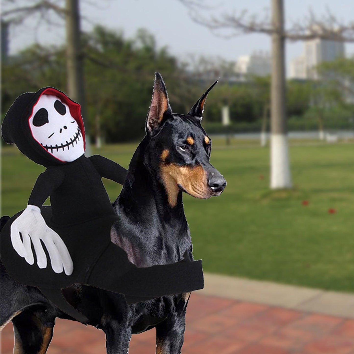Scary Spider Rider Pet Halloween Costume – Creepy-Crawly Fun for Cats & Dogs