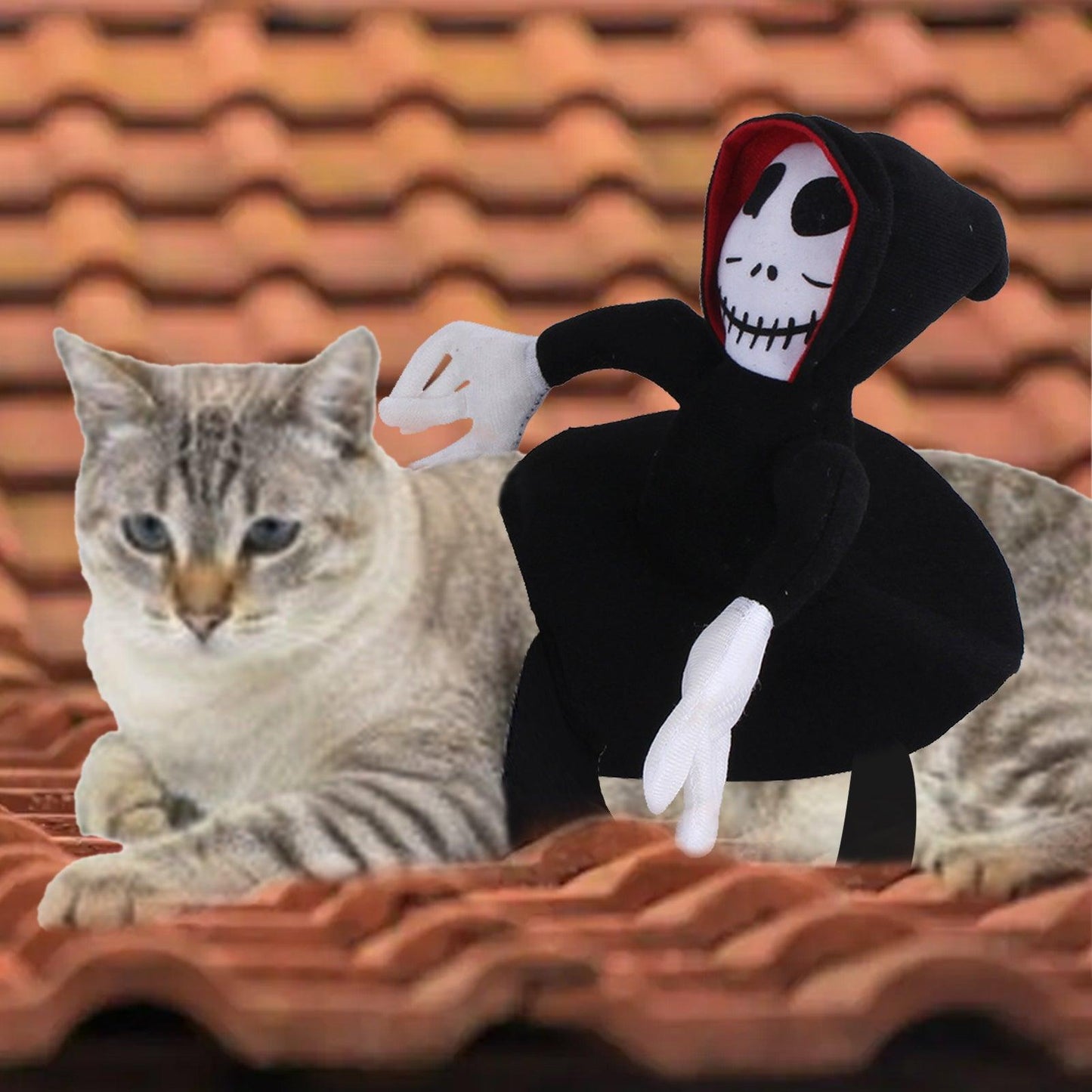 Scary Spider Rider Pet Halloween Costume – Creepy-Crawly Fun for Cats & Dogs