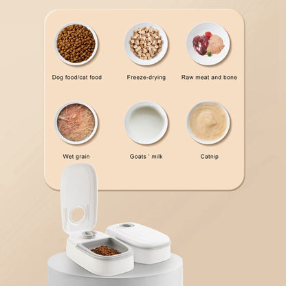 2-in-1 Gravity Automatic Pet Feeder & Water Dispenser