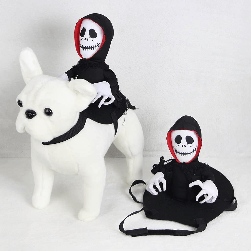 Scary Spider Rider Pet Halloween Costume – Creepy-Crawly Fun for Cats & Dogs