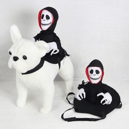 Scary Spider Rider Pet Halloween Costume – Creepy-Crawly Fun for Cats & Dogs