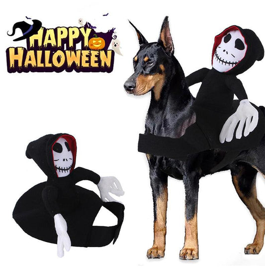 Scary Spider Rider Pet Halloween Costume – Creepy-Crawly Fun for Cats & Dogs
