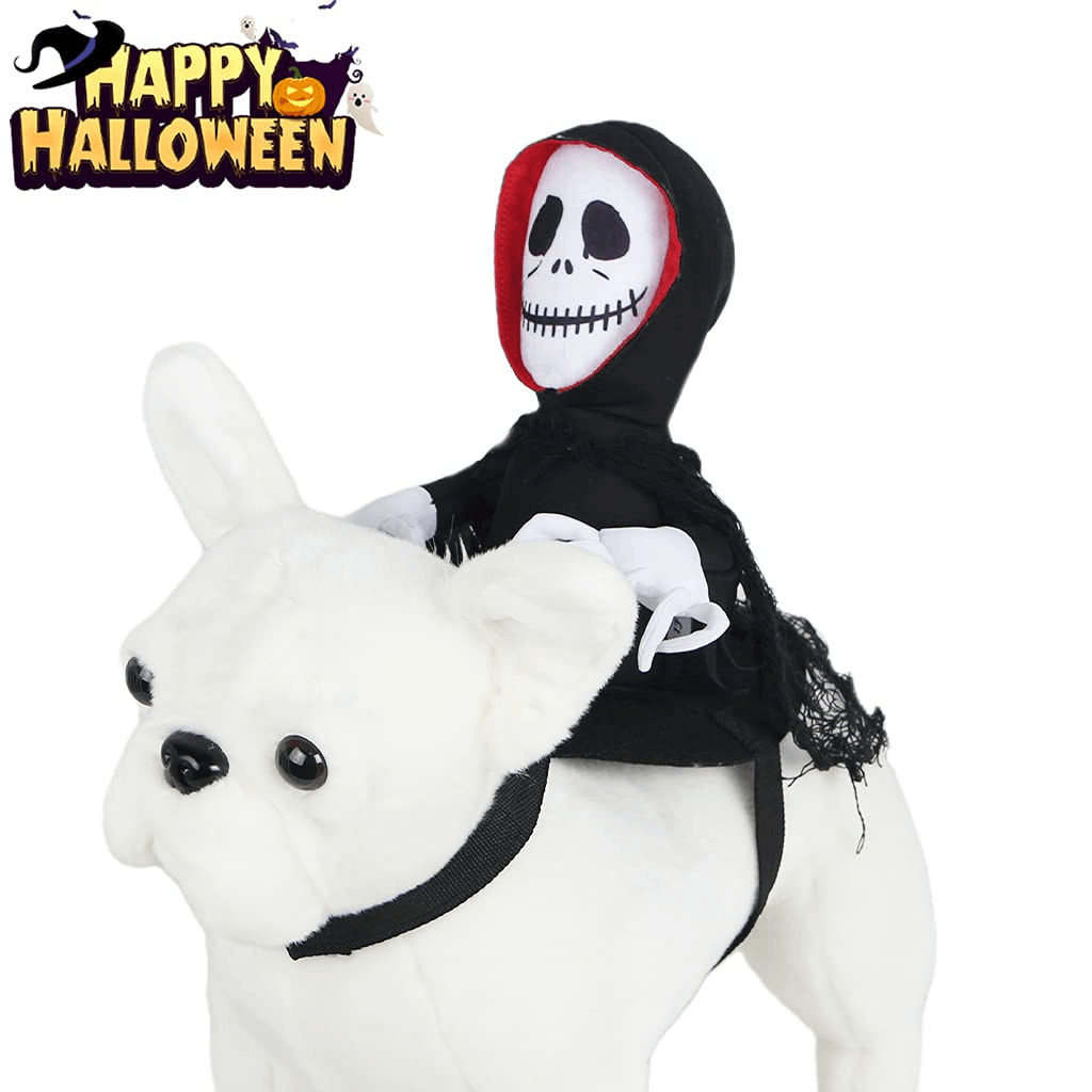 Scary Spider Rider Pet Halloween Costume – Creepy-Crawly Fun for Cats & Dogs